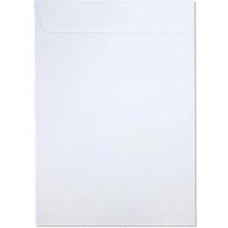 Envelope Branco 176X250 Pequeno — foto 1