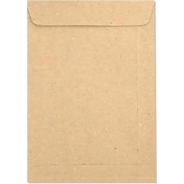 Envelope Kraft 240X340 Grande