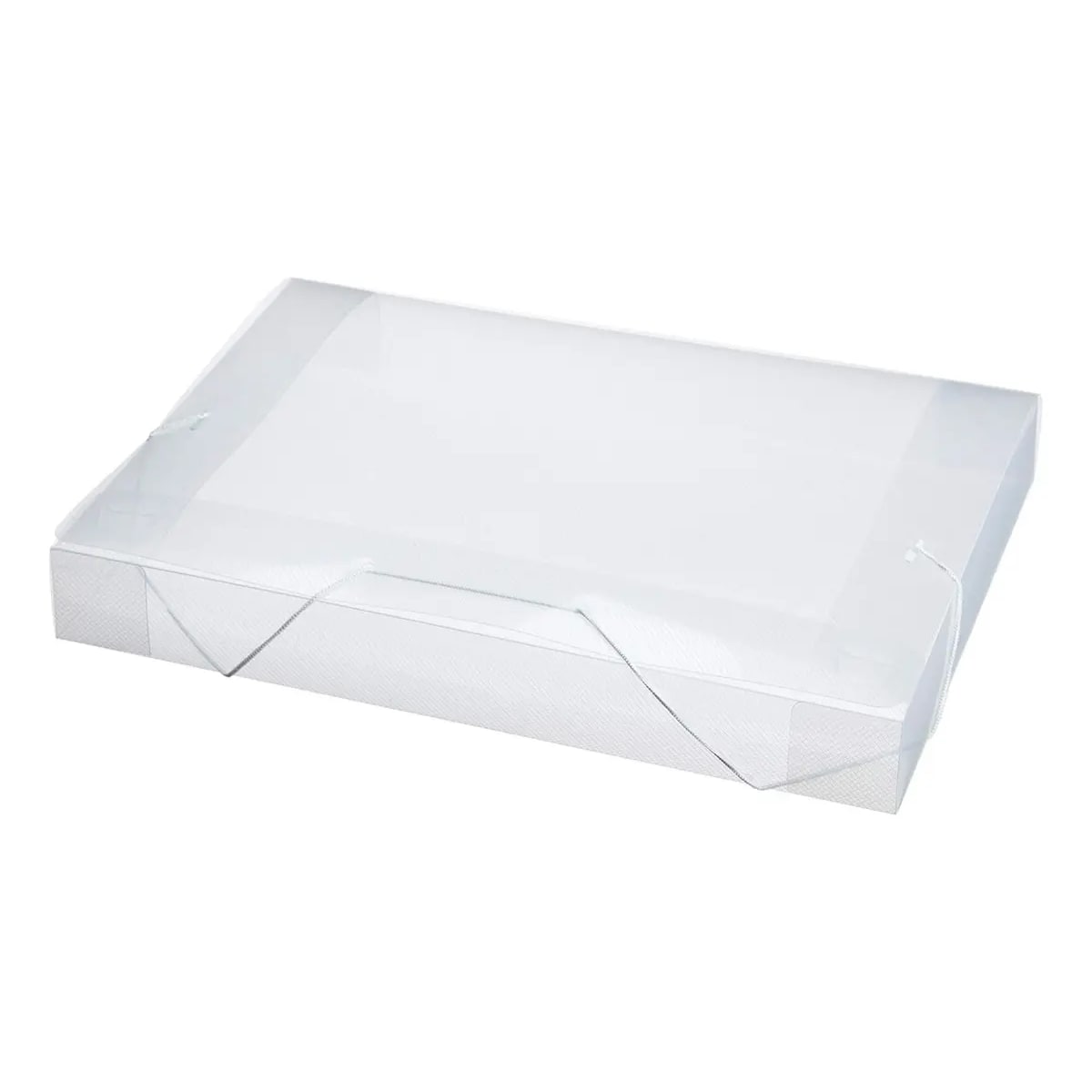 PASTA ABA ELASTICA PLASTICA CRISTAL 55MM A4 / REF 505